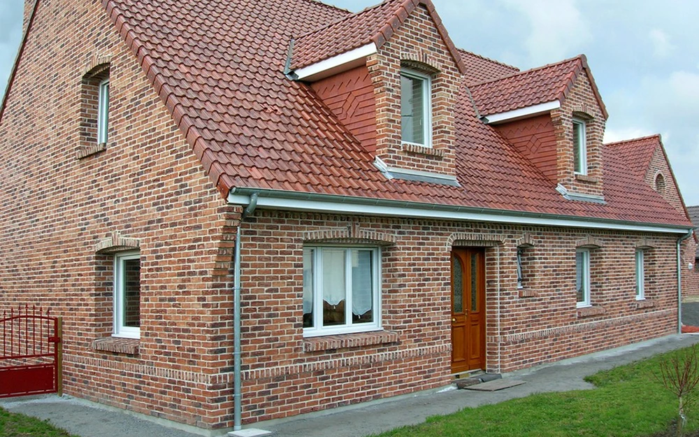 Кирпич ручной формовки NELISSEN Robinia Фото №3
