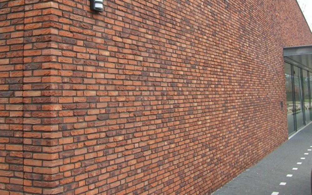 Кирпич ручной формовки NELISSEN Robinia Фото №7