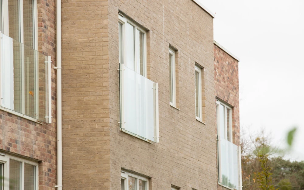 Цегла ручного формування RIJSWAARD RW114 Beige (DR57B) HV EF Фото №0
